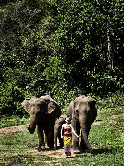 Walk with the Elephants Awesome Photography Workshop with a Baby Elephant