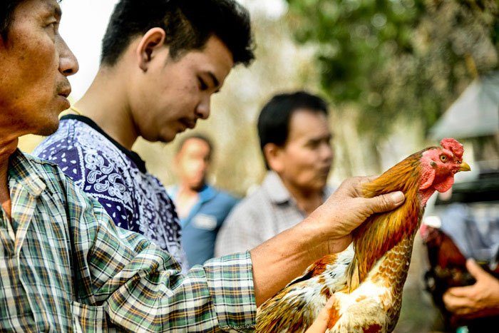 Market-Chicken-Buying.jpg